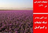 تبلیغات اینترنتی در باخرز