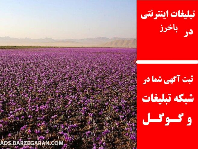 تبلیغات اینترنتی در باخرز