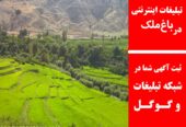 تبلیغات اینترنتی در باغ‌ملک