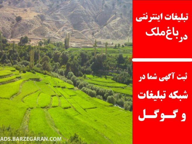 تبلیغات اینترنتی در باغ‌ملک