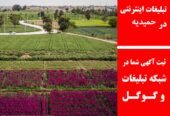 تبلیغات اینترنتی در حمیدیه
