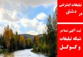 تبلیغات اینترنتی در دشتی