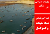 تبلیغات اینترنتی در دلگان