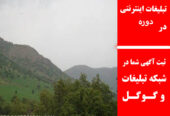 تبلیغات اینترنتی در دوره