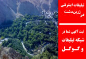 تبلیغات اینترنتی در زرین‌دشت