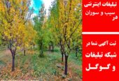 تبلیغات اینترنتی در سیب و سوران