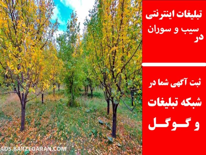 تبلیغات اینترنتی در سیب و سوران