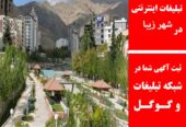 تبلیغات اینترنتی در شهر زیبا