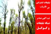 تبلیغات اینترنتی در فاریاب