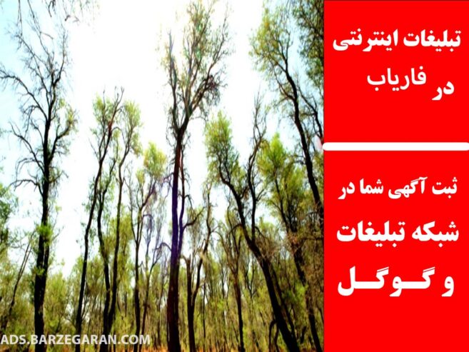 تبلیغات اینترنتی در فاریاب