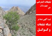 تبلیغات اینترنتی در مهرستان