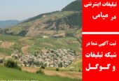 تبلیغات اینترنتی در میامی