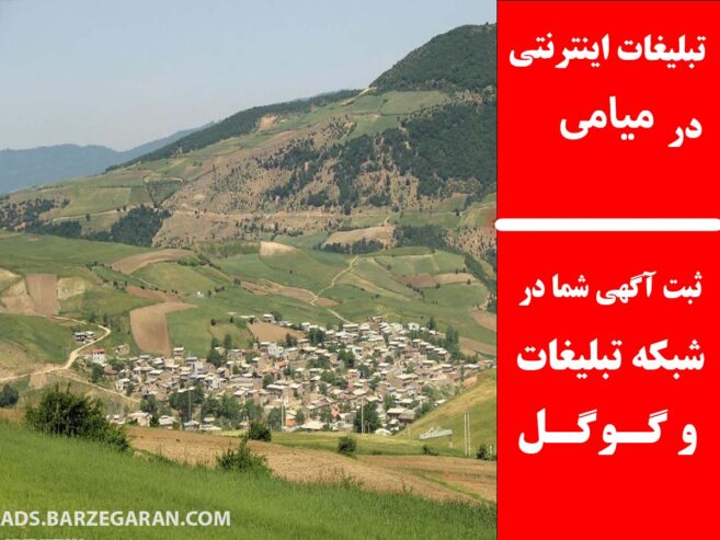 تبلیغات اینترنتی در میامی