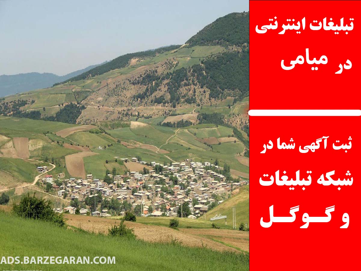 تبلیغات اینترنتی در میامی