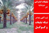 تبلیغات اینترنتی در میرجاوه