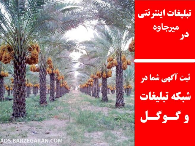 تبلیغات اینترنتی در میرجاوه