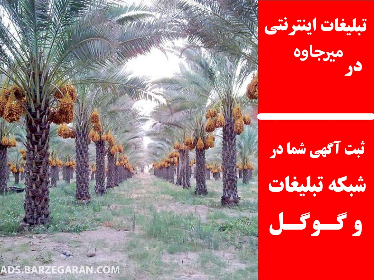 تبلیغات اینترنتی در میرجاوه