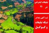 تبلیغات اینترنتی در نکا