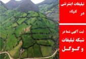 تبلیغات اینترنتی در گلوگاه