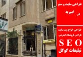 طراحی سایت و سئو در امیریه