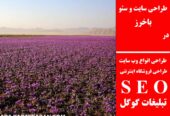 طراحی سایت و سئو در باخرز