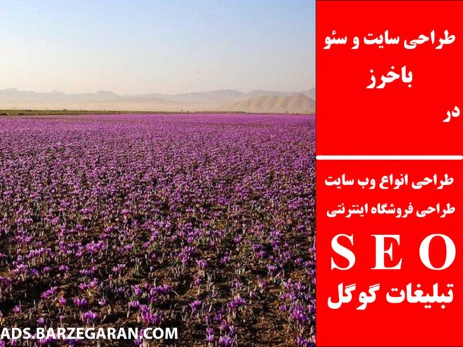 طراحی سایت و سئو در باخرز