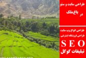 طراحی سایت و سئو در باغ‌ملک