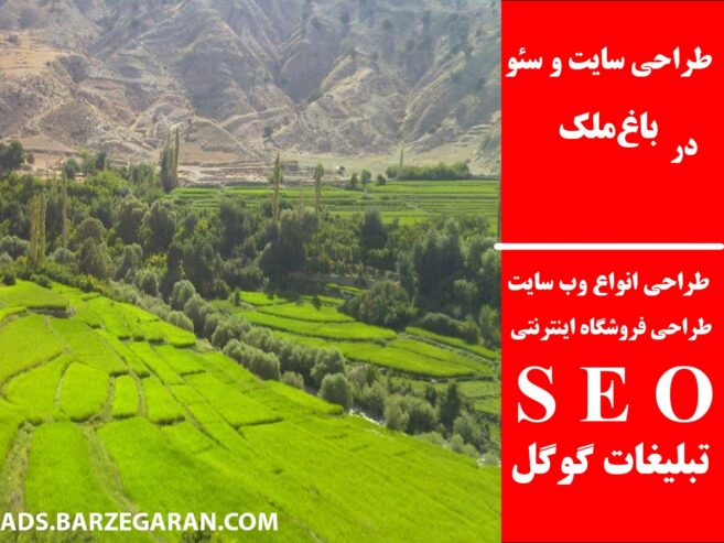 طراحی سایت و سئو در باغ‌ملک