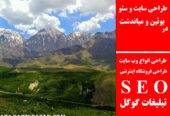 طراحی سایت و سئو در بوئین و میاندشت