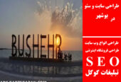طراحی سایت و سئو در بوشهر