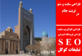 طراحی سایت و سئو در تربت جام