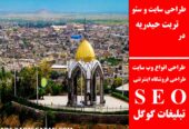 طراحی سایت و سئو در تربت حیدریه