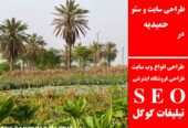 طراحی سایت و سئو در حمیدیه
