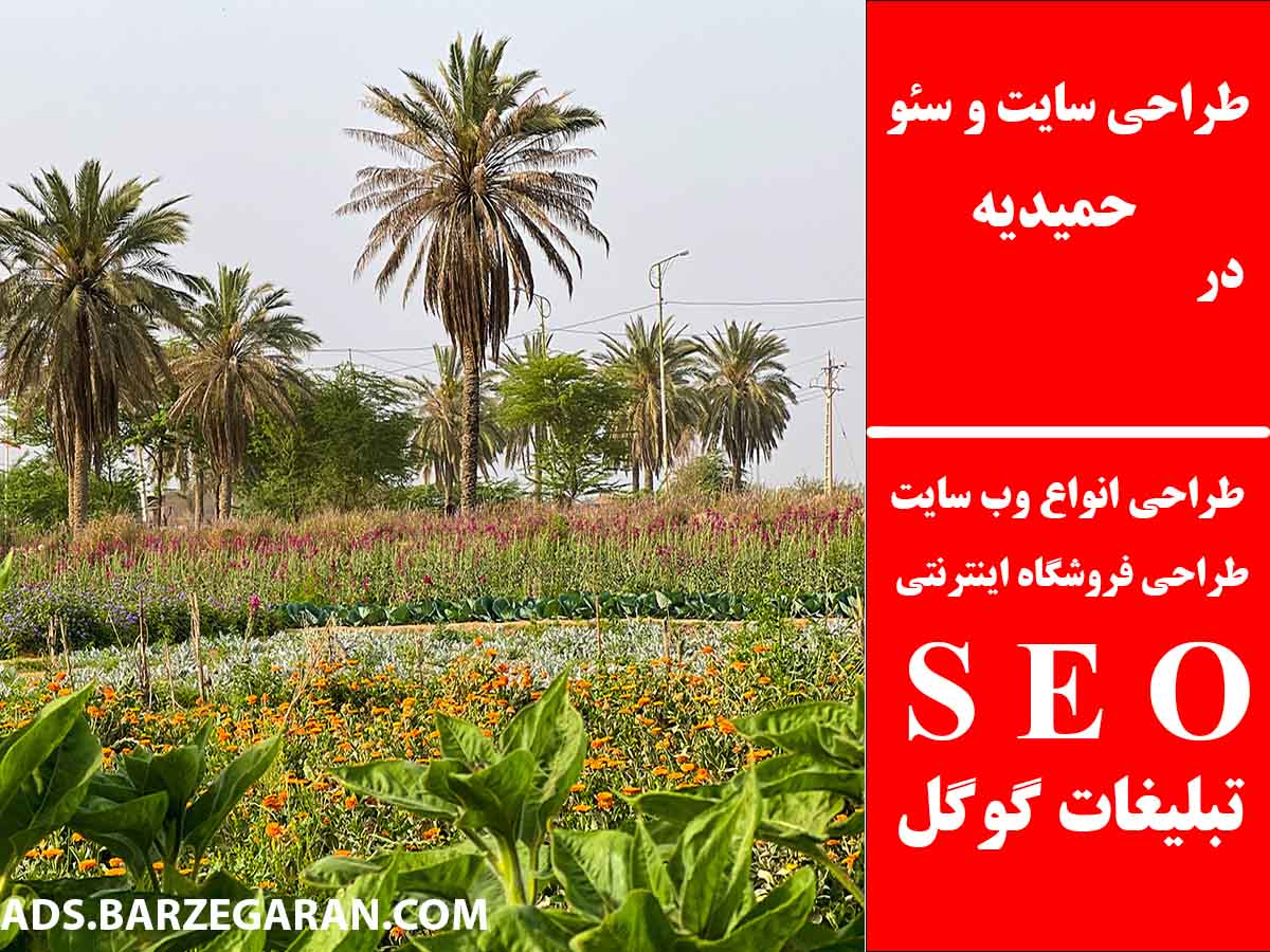 طراحی سایت و سئو در حمیدیه