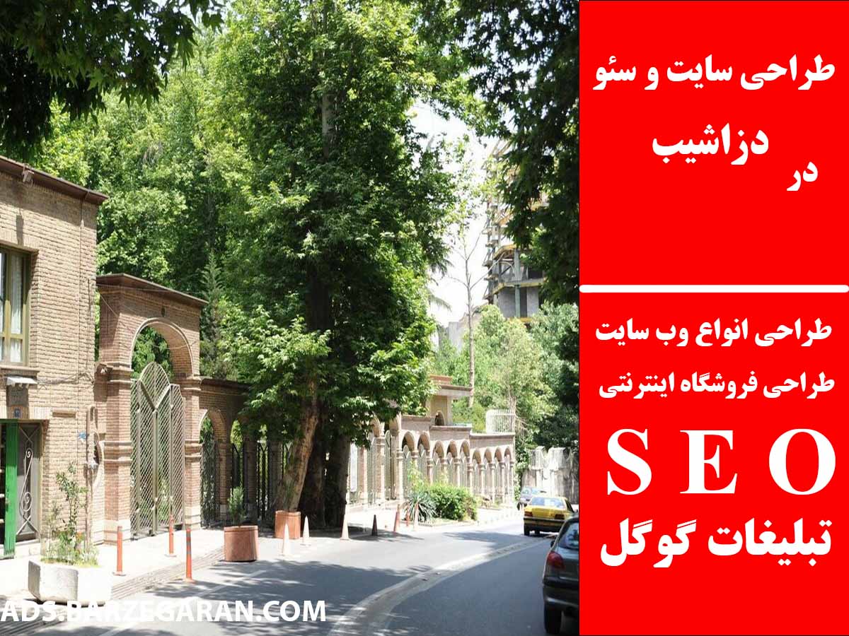 طراحی سایت و سئو در دزاشیب