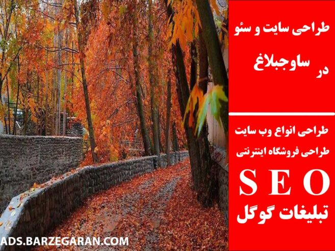 طراحی سایت و سئو در ساوجبلاغ