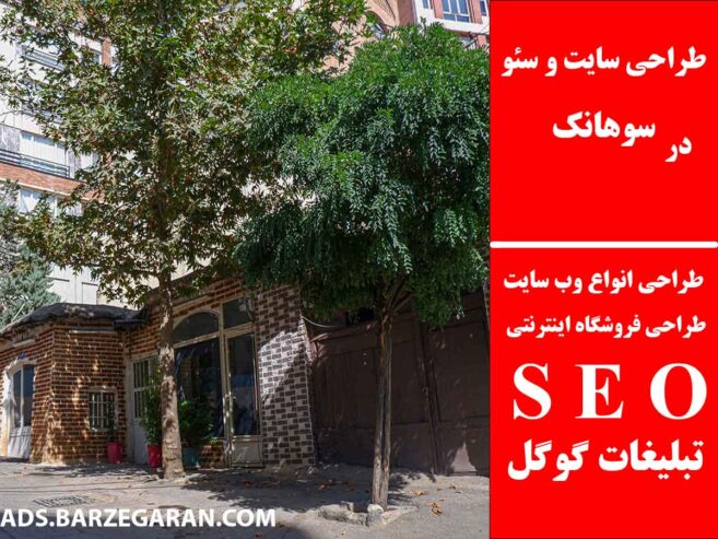 طراحی سایت و سئو در سوهانک