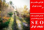 طراحی سایت و سئو در سیب و سوران