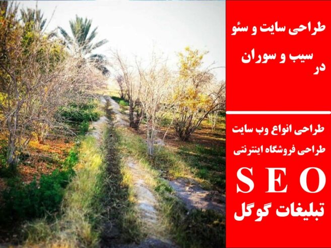 طراحی سایت و سئو در سیب و سوران