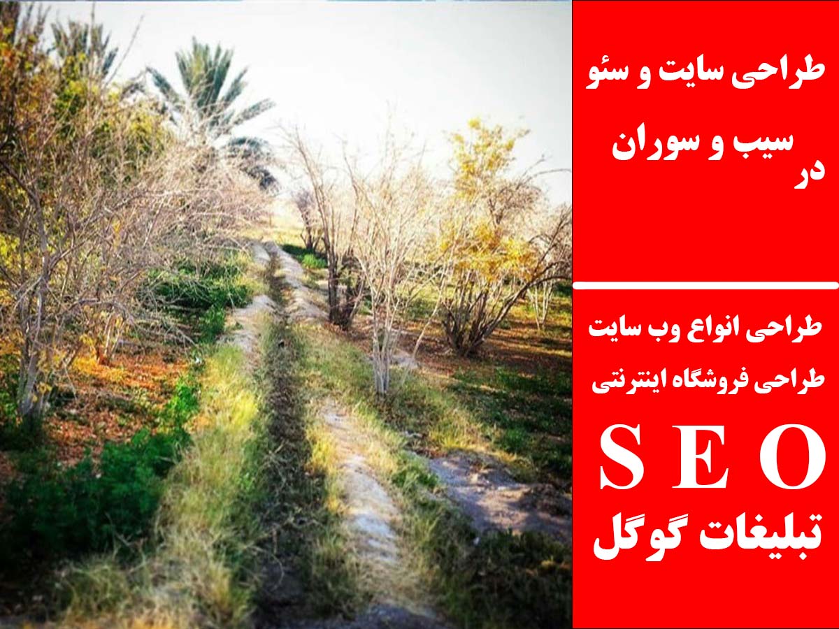 طراحی سایت و سئو در سیب و سوران
