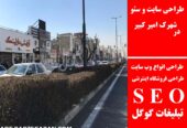 طراحی سایت و سئو در شهرک امیر کبیر