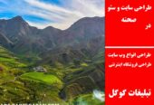 طراحی سایت و سئو در صحنه