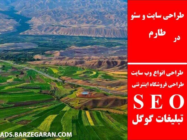 طراحی سایت و سئو در طارم