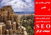 طراحی سایت و سئو در طبس