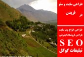 طراحی سایت و سئو در فریدن