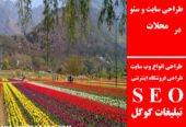 طراحی سایت و سئو در محلات