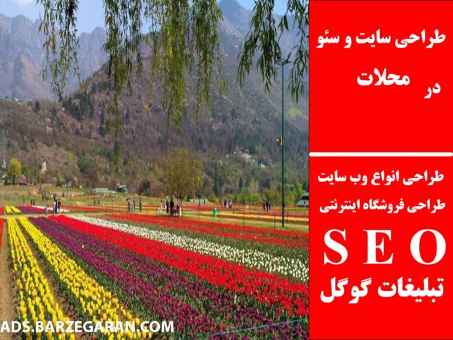 طراحی سایت و سئو در محلات