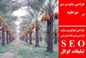 طراحی سایت و سئو در میرجاوه