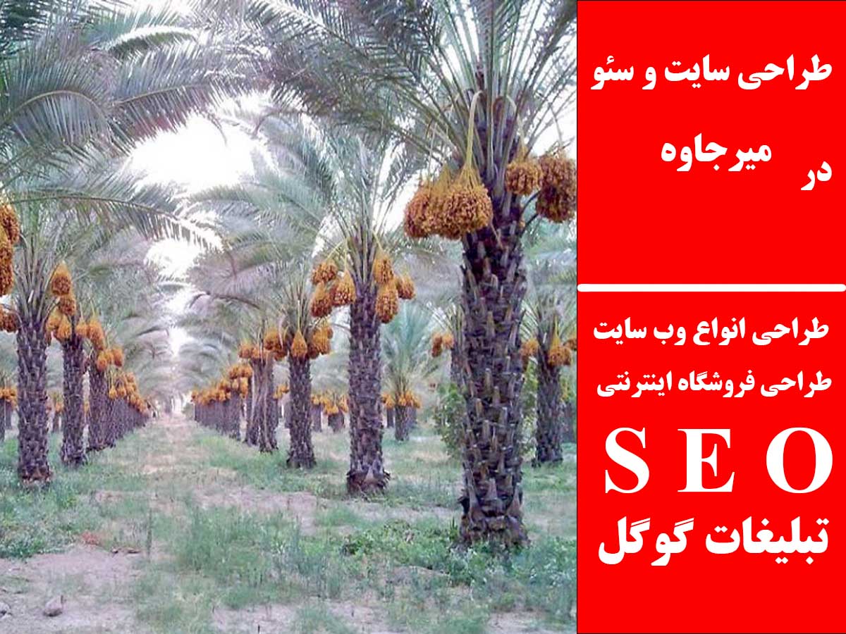 طراحی سایت و سئو در میرجاوه
