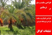 طراحی سایت و سئو در نرماشیر
